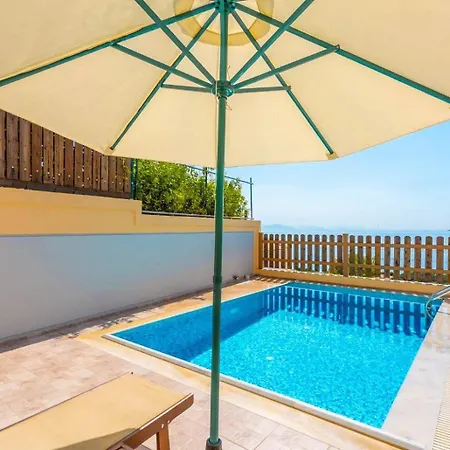 Sequoia Yellow * バルバティ