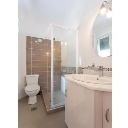 Sequoia Yellow バルバティ