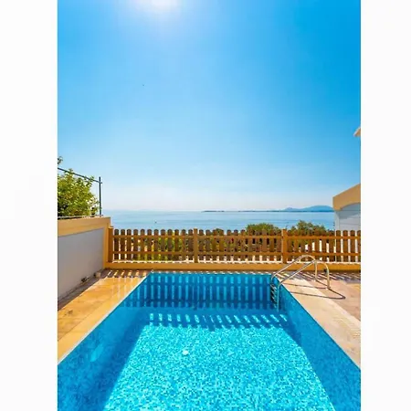 Sequoia Yellow * Barbati