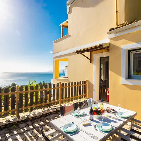 Sequoia Yellow Barbati