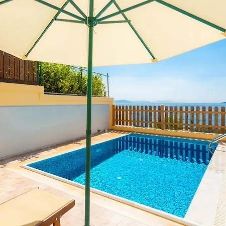 Sequoia Yellow * Barbati