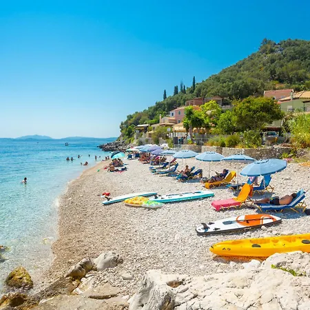 Sequoia Yellow * Barbati