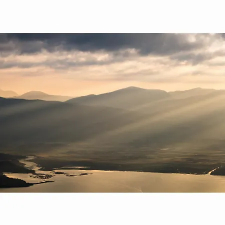 Vila Sequoia Yellow *