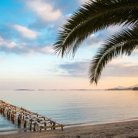 Vila Sequoia Yellow Barbati